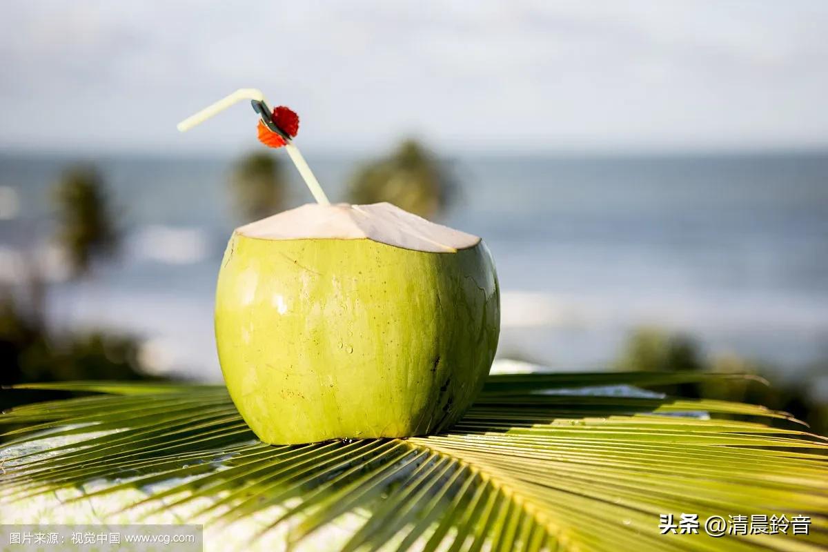 入伏后消暑饮品,正式入伏这些消暑饮品在家就能做