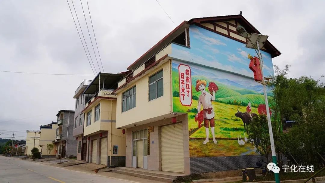 乡村振兴再出发丨宁化县石牛村：“椒”出一朵致富花