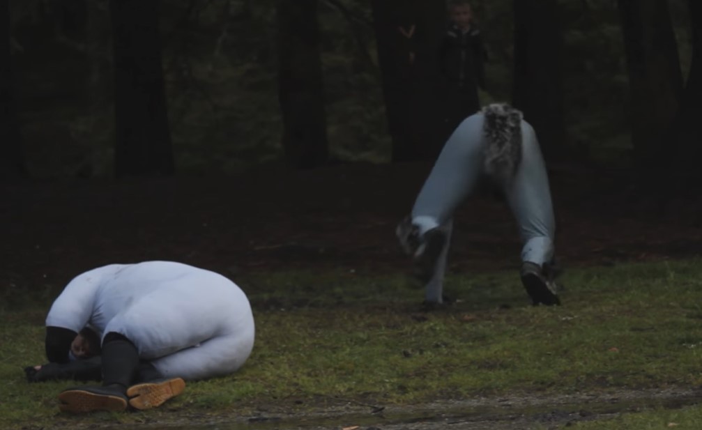 加拿大舞团harry,加拿大舞团模仿羊