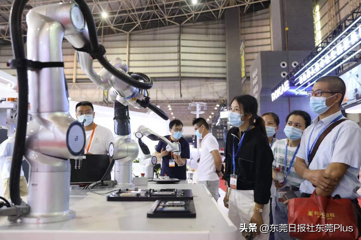 东莞外贸进出口恢复增长,东莞外贸出口总额