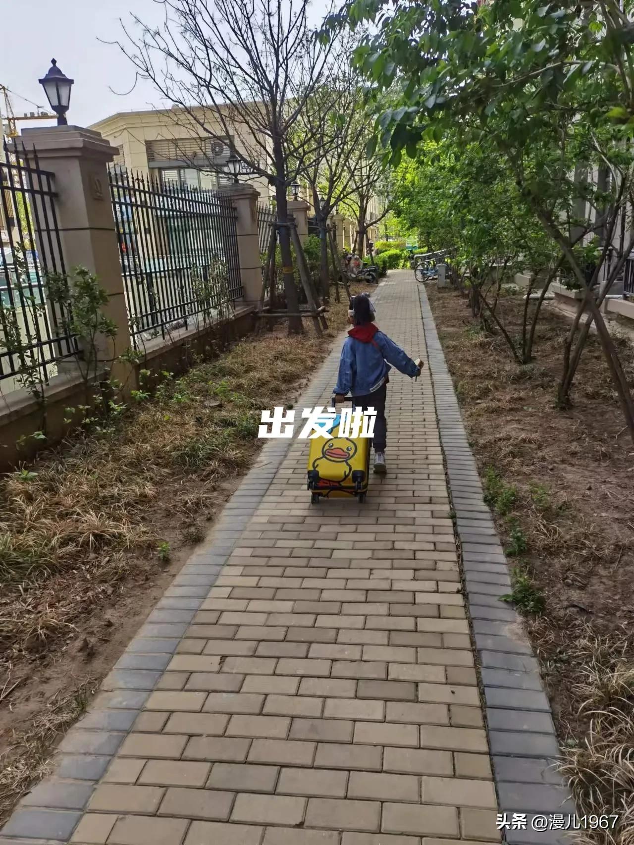 跳蚤市场五年级做什么活动,五年级学生跳蚤市场卖什么