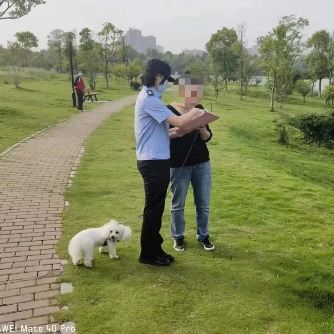 文明城市因不文明养犬被处罚,抚顺整治不文明养犬