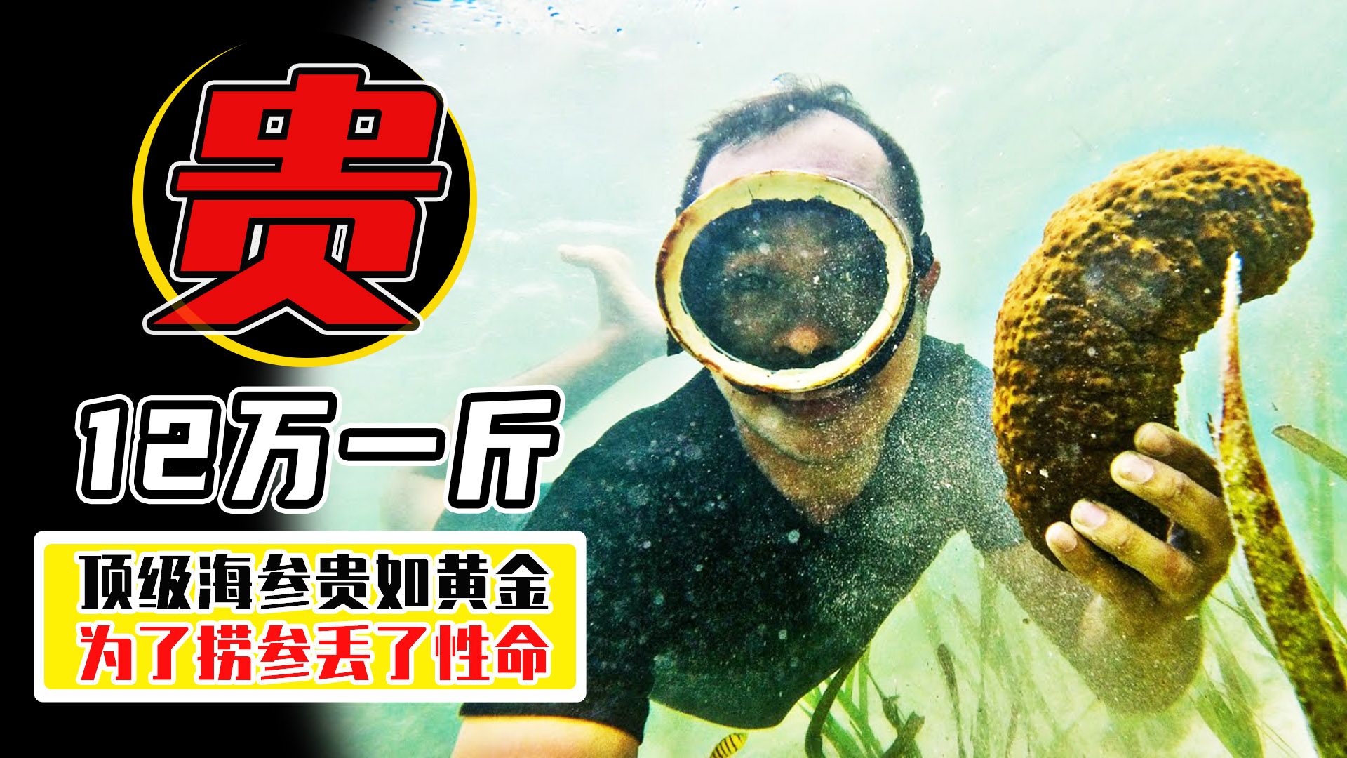 顶级海参多少一头,中国的足球队吃哪家的海参