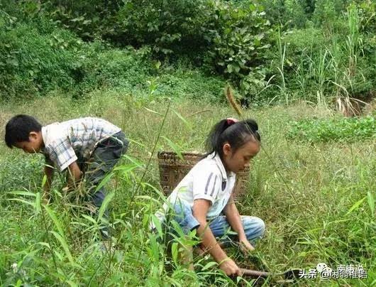 直白人生完整版,直白人生