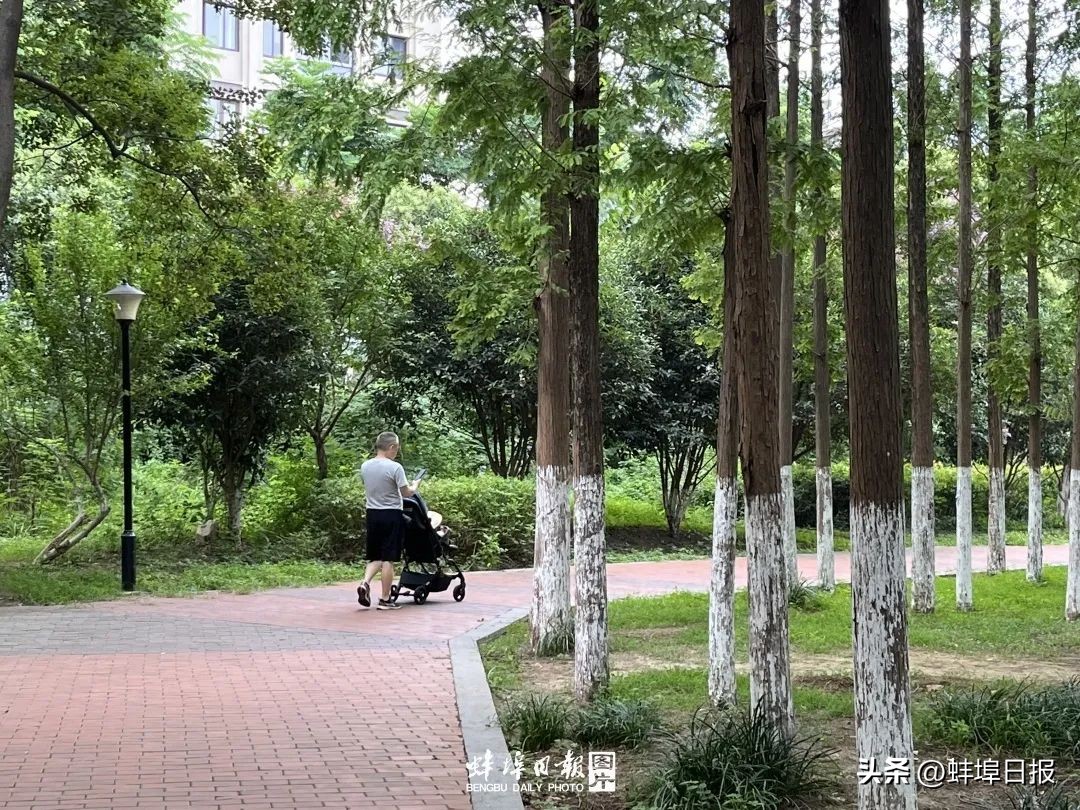 可以看到风景的房间,看见风景的房间实景