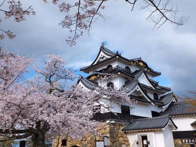 彦根古城旅游攻略,彦根简介