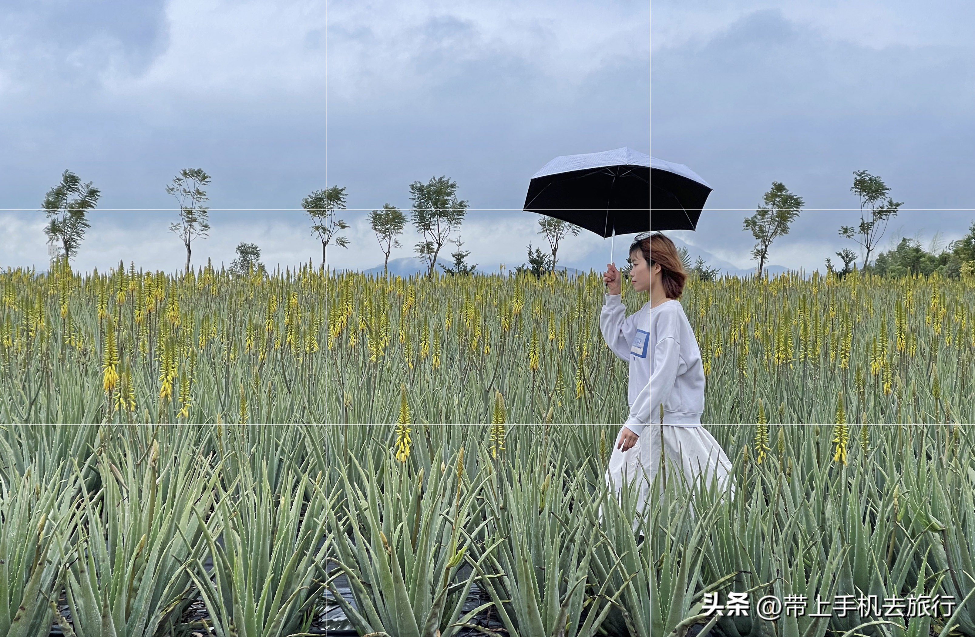 10分钟实用手机摄影知识,10分钟左右的手机摄影干货