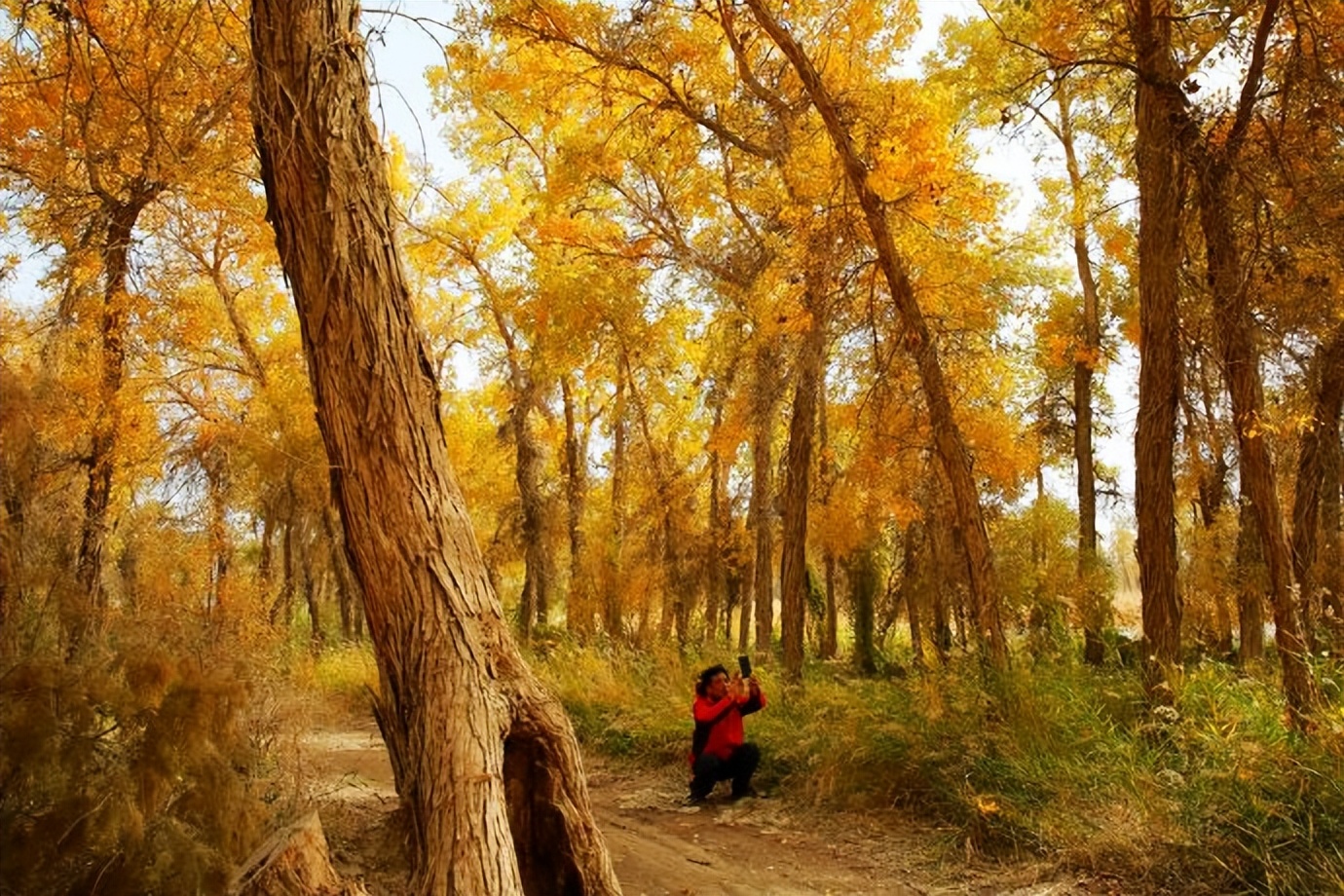 环游新疆15天,环游南疆8天攻略