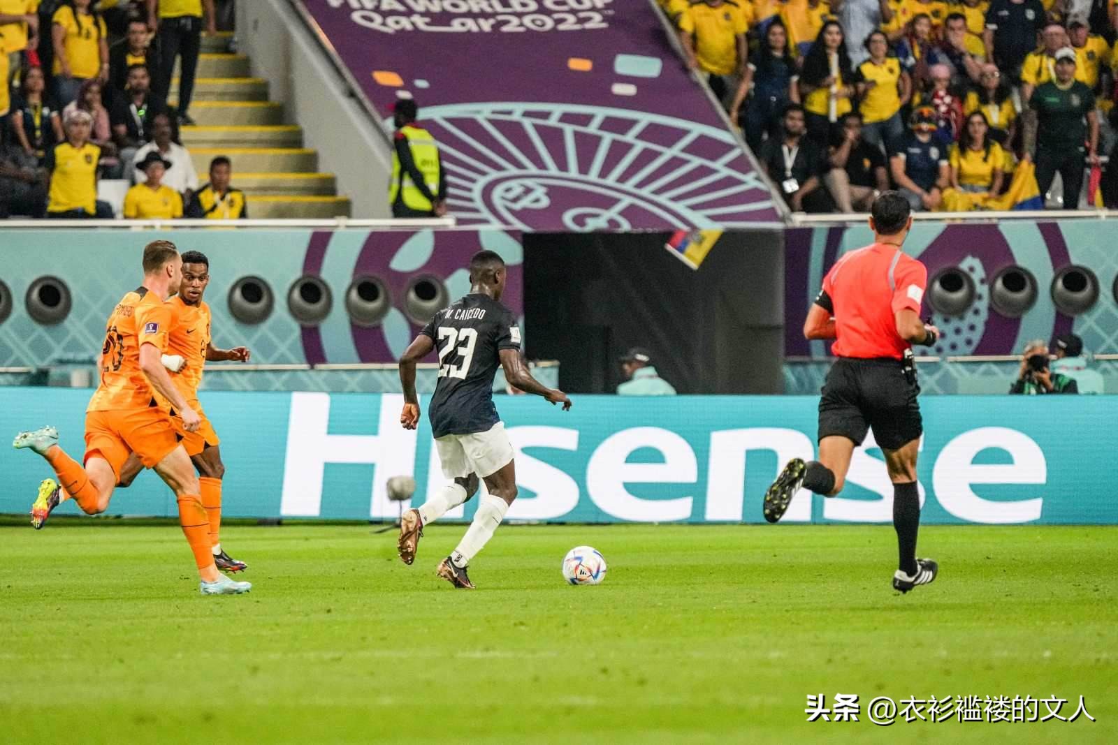 荷兰1比1厄瓜多尔卡塔提前出局,2022卡塔尔世界杯厄瓜多尔vs荷兰