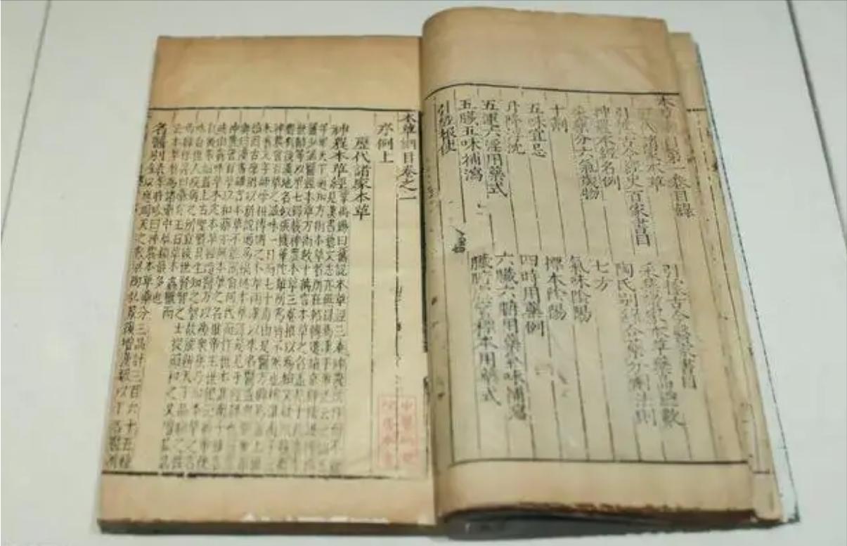 太岁中科院研究,太岁之谜神秘东西