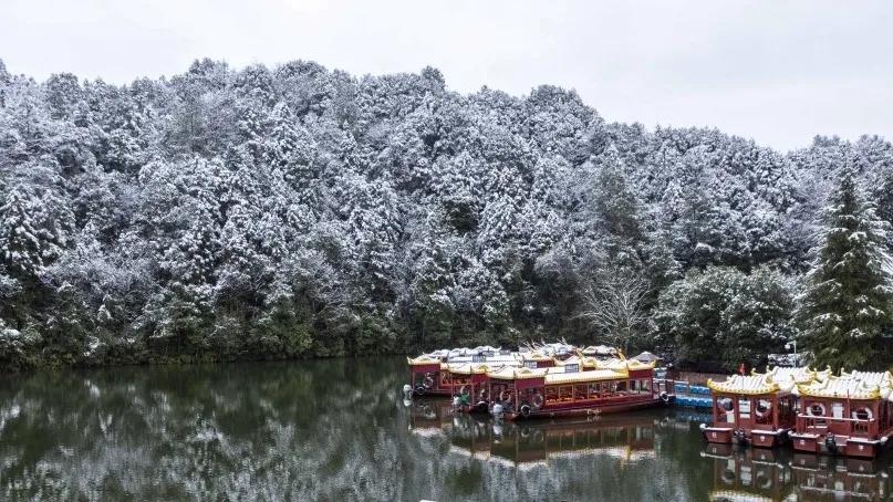下雪了看美景,下雪啦看窗外的风景