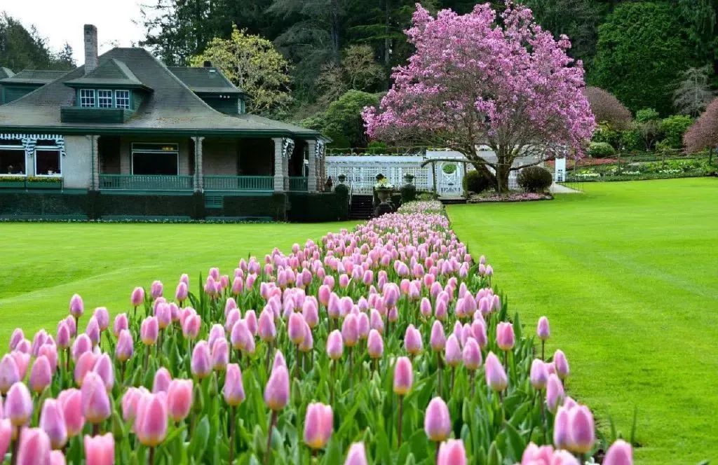 最美的十座园林,中国十大最美园林之留园