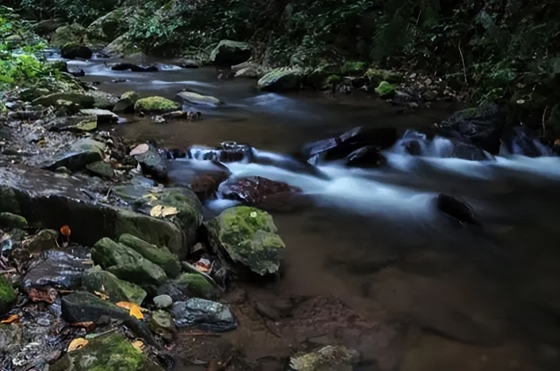掌握这几点轻松泡出好喝的茶,教你选对水泡好茶