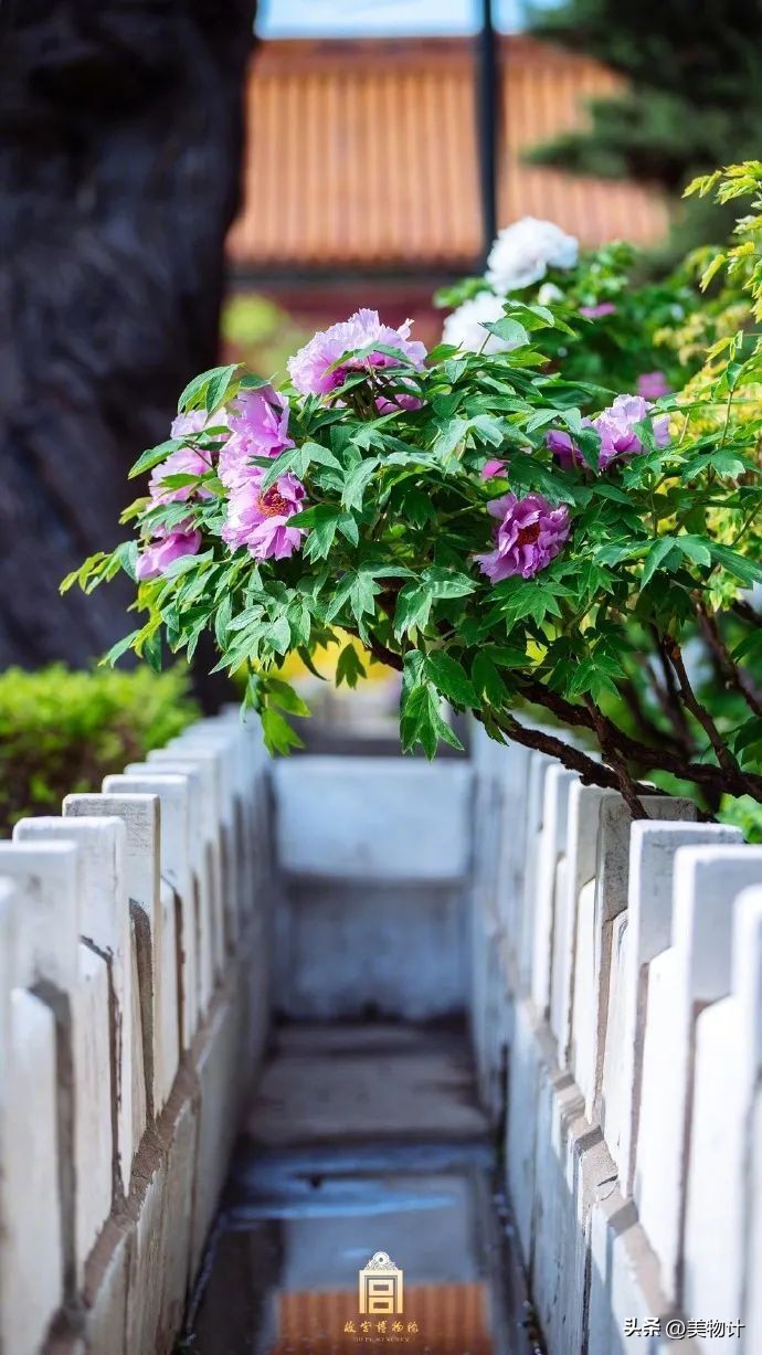 五月暮春的诗句,五月暮春四月仲春