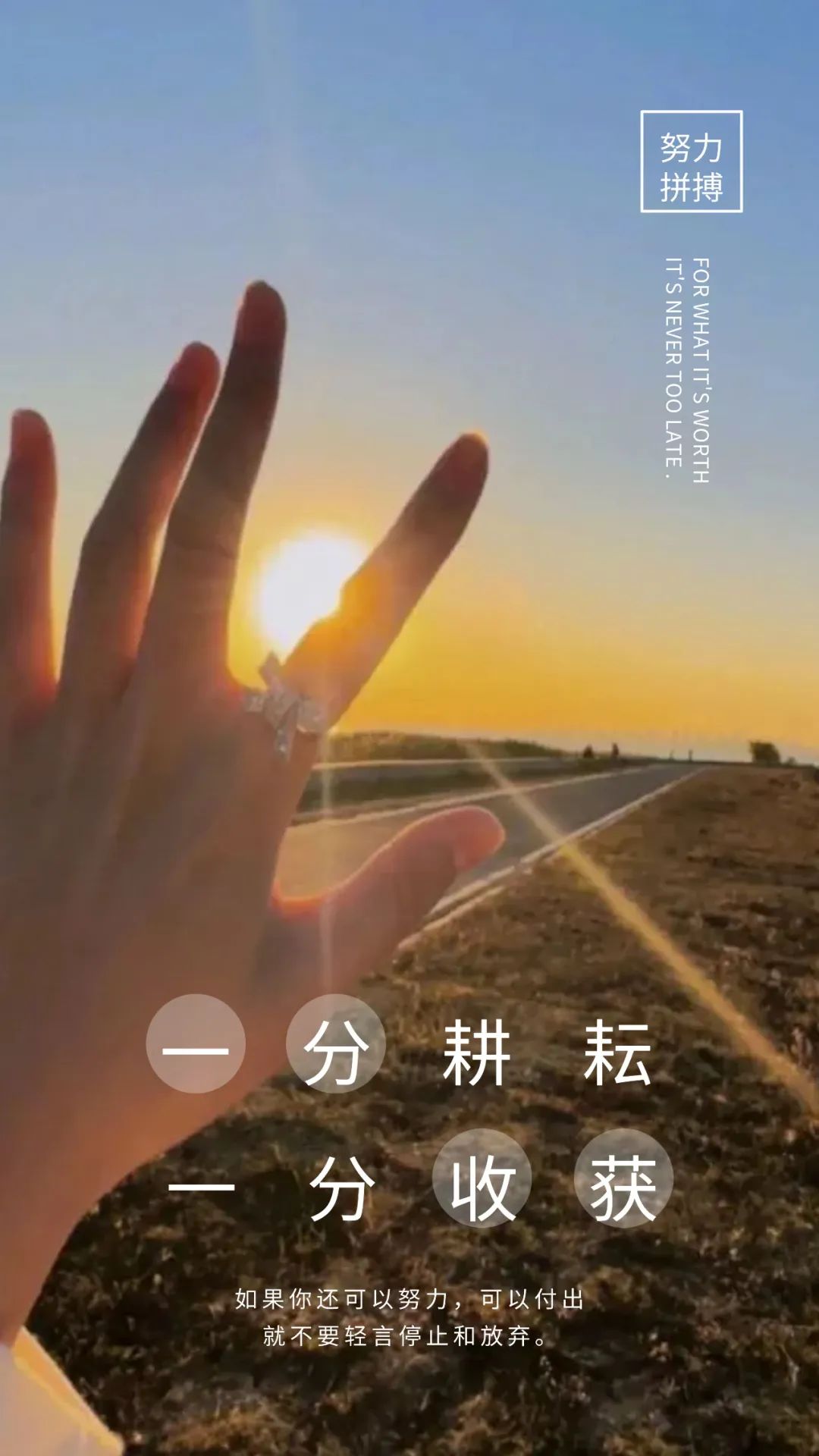 「2022.11.03」早安心语，正能量经典哲理语录句子很赞的问候图片