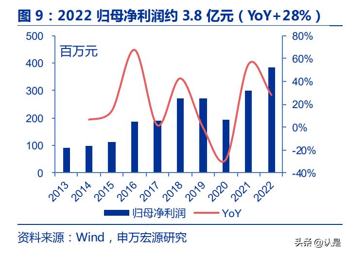 白炭黑龙头企业,确成股份有气相白炭黑吗