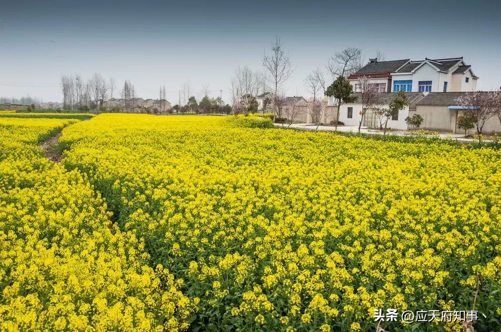 南京城的时光胶囊，回忆西祠胡同20年