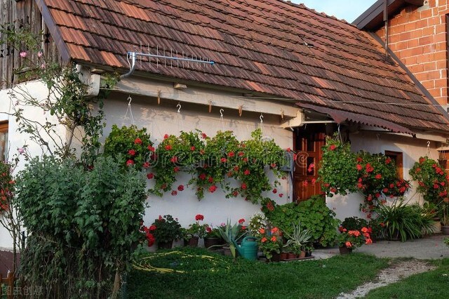 旧文阅读,旧文新读