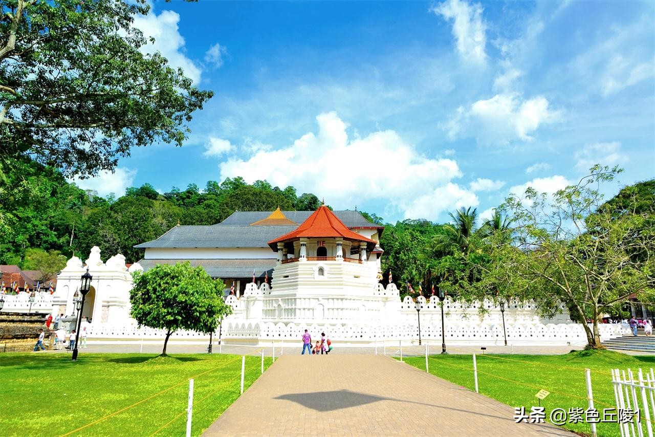 南亚国家外交活动,中国南亚多国