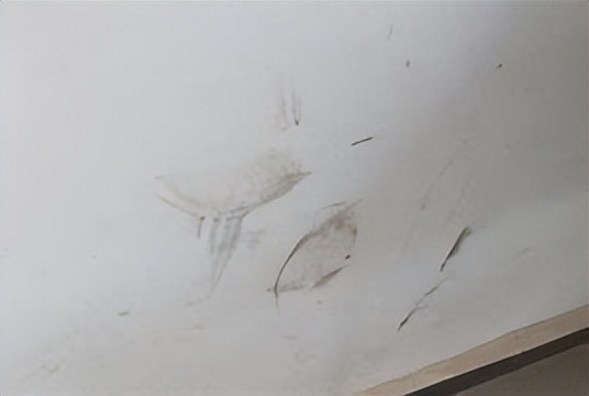 实用生活小窍门100个妙招,生活小窍门妙招大全集值得收藏