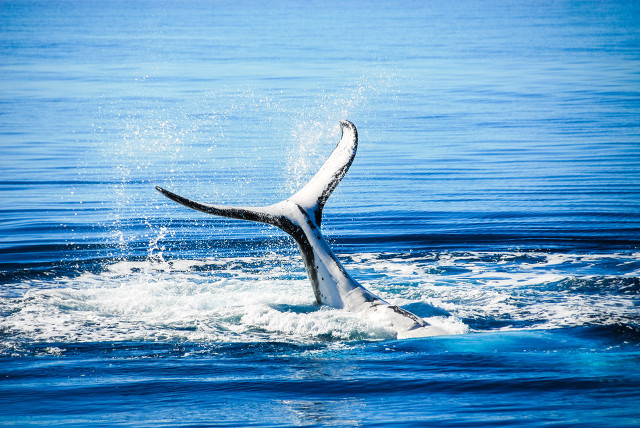 全国冬季最值得去旅游的10个地方,最适宜旅游的10个国家