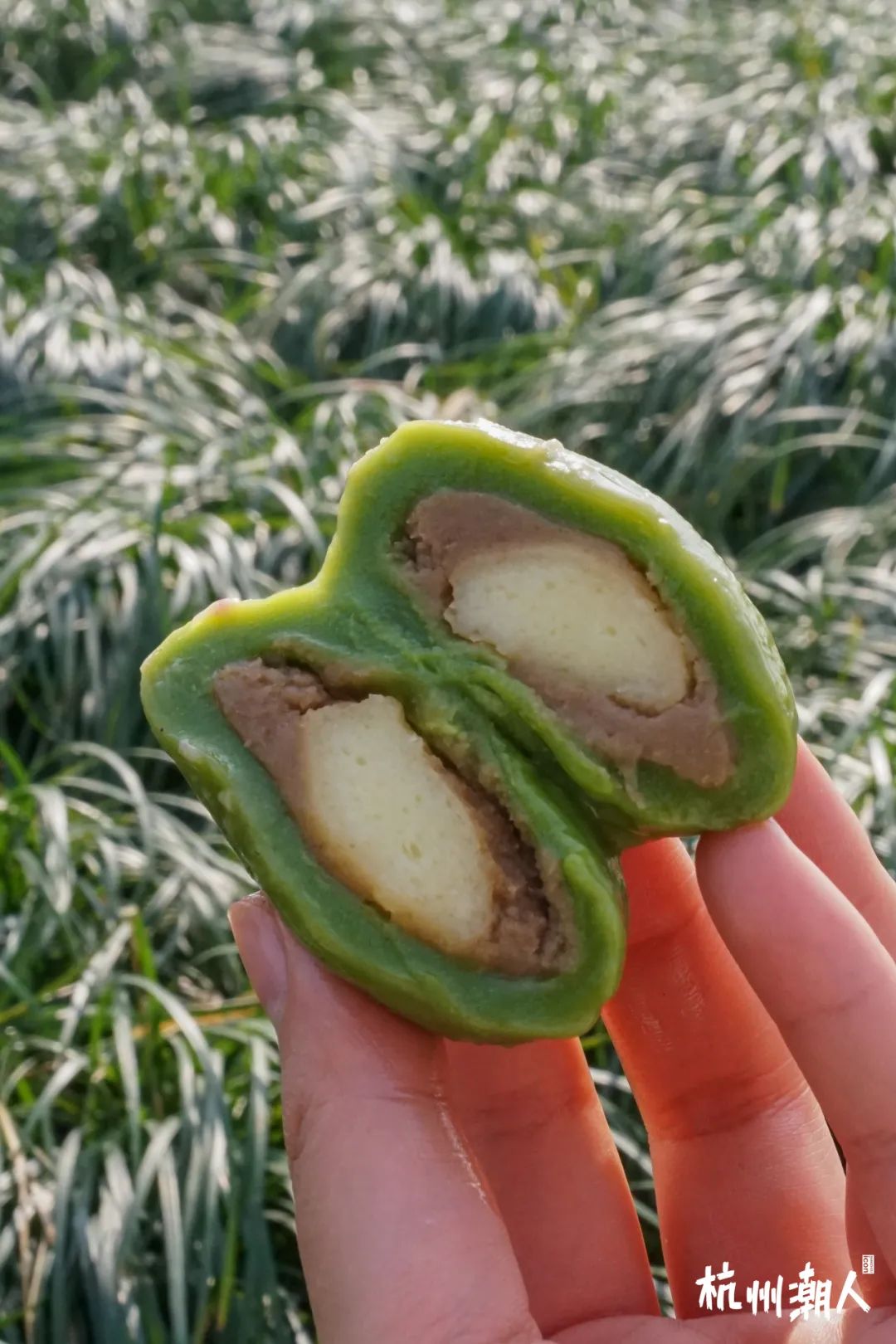 青团推荐哪个牌子,11款超奇葩青团