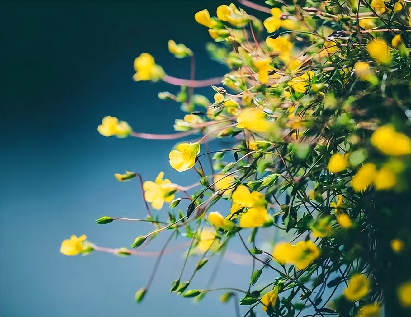 如果亲情让你觉得你很痛苦怎么办,如果亲情伤害了你请学会狠心