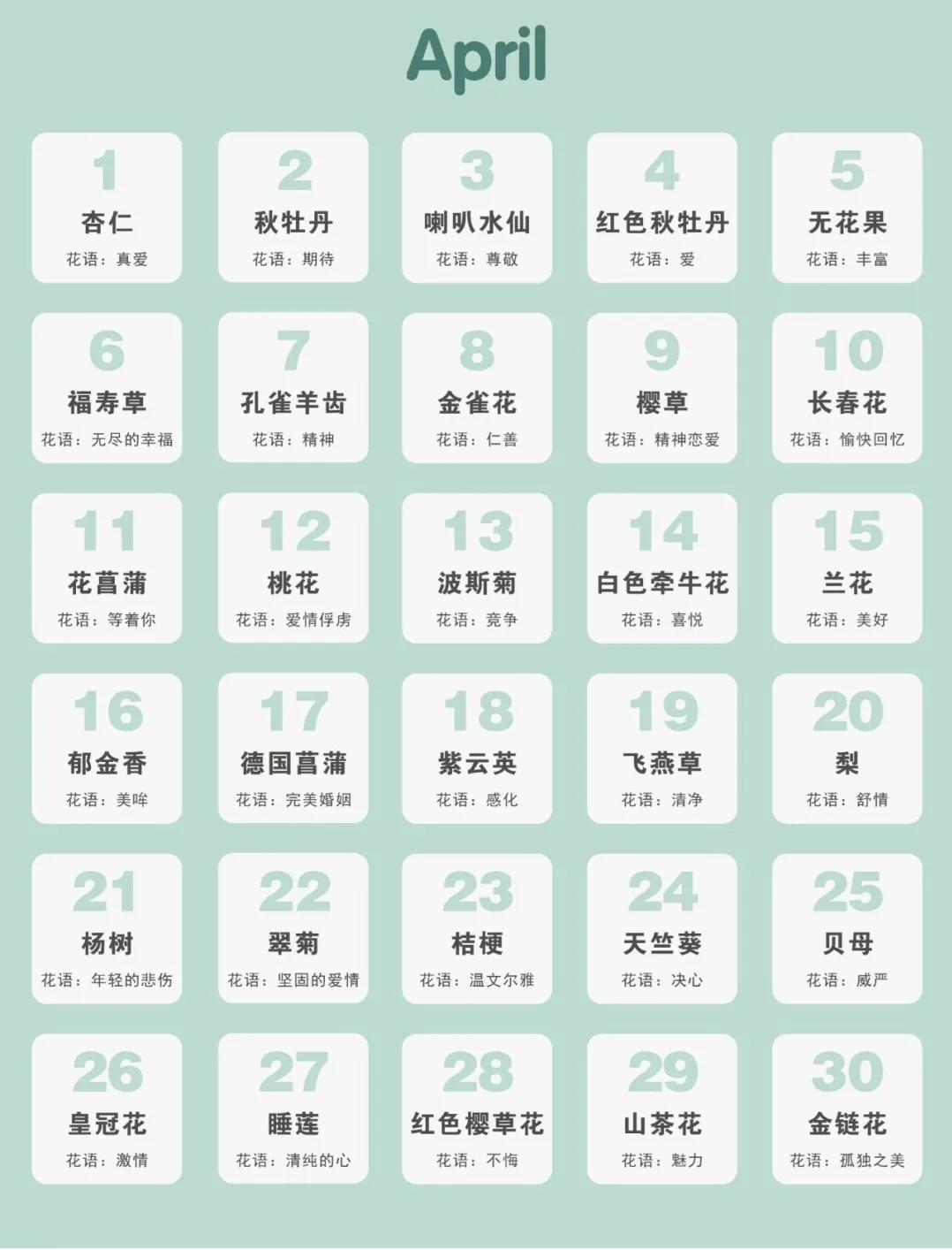 365生日花语大全,关于生日的花的花语