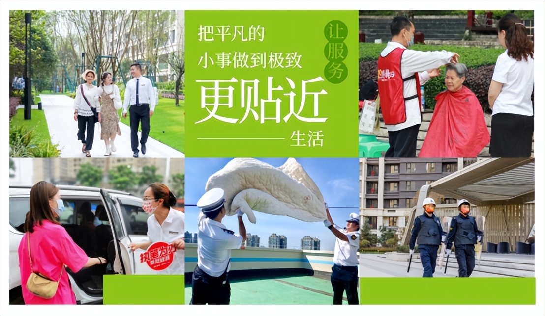 金科业主最新消息,业主疯狂点赞