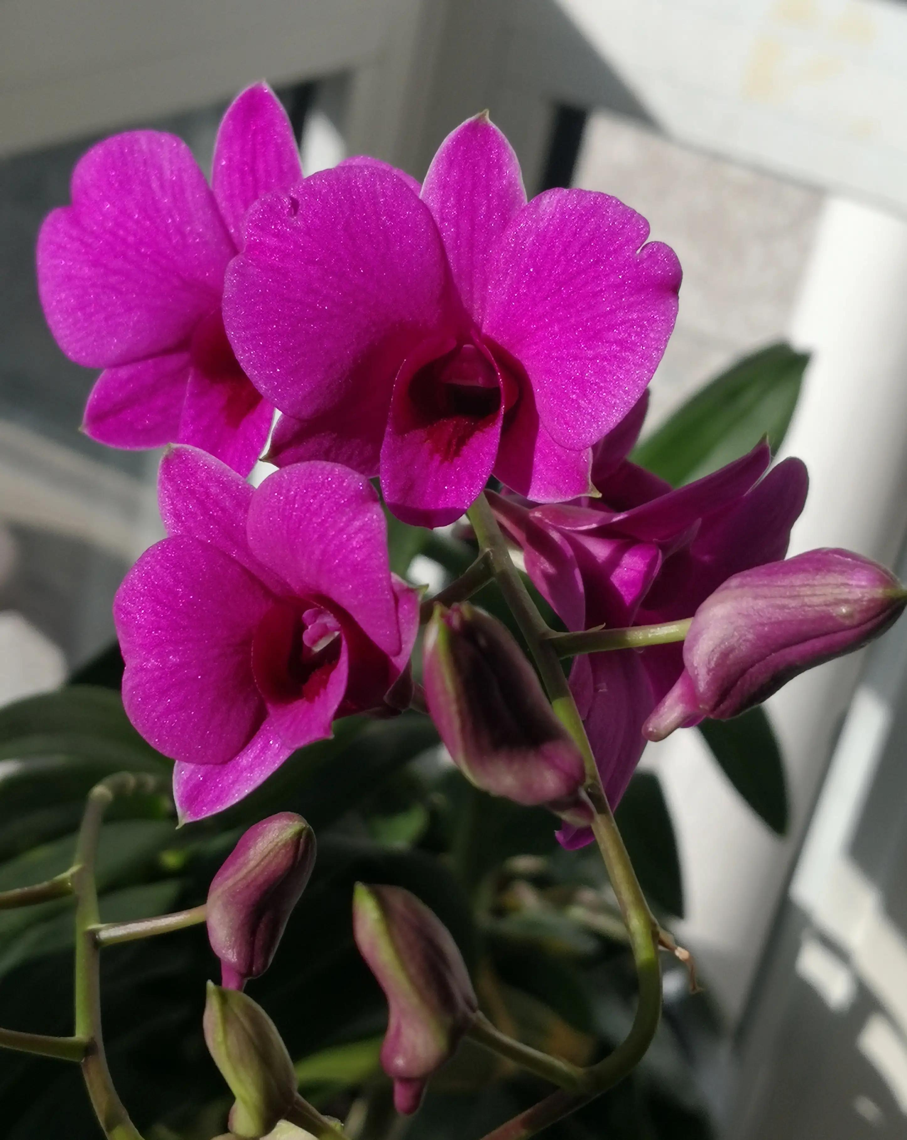 童小鹏回忆录1,童小鹏回忆录风雨四十年