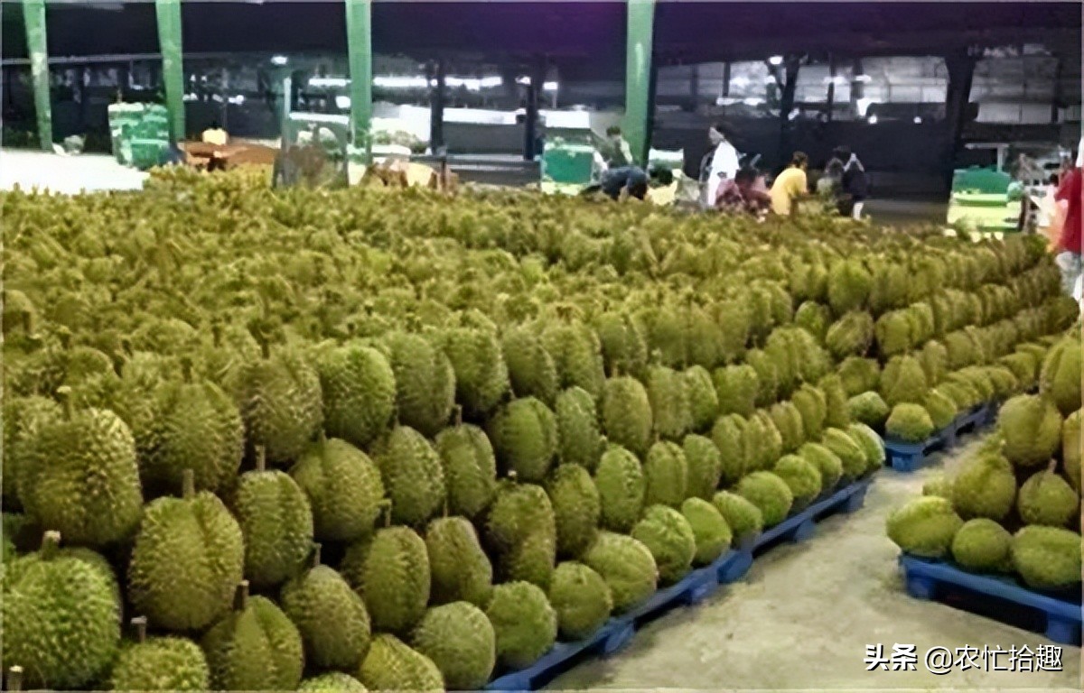 刚上市就暴跌,刚发售就崩盘