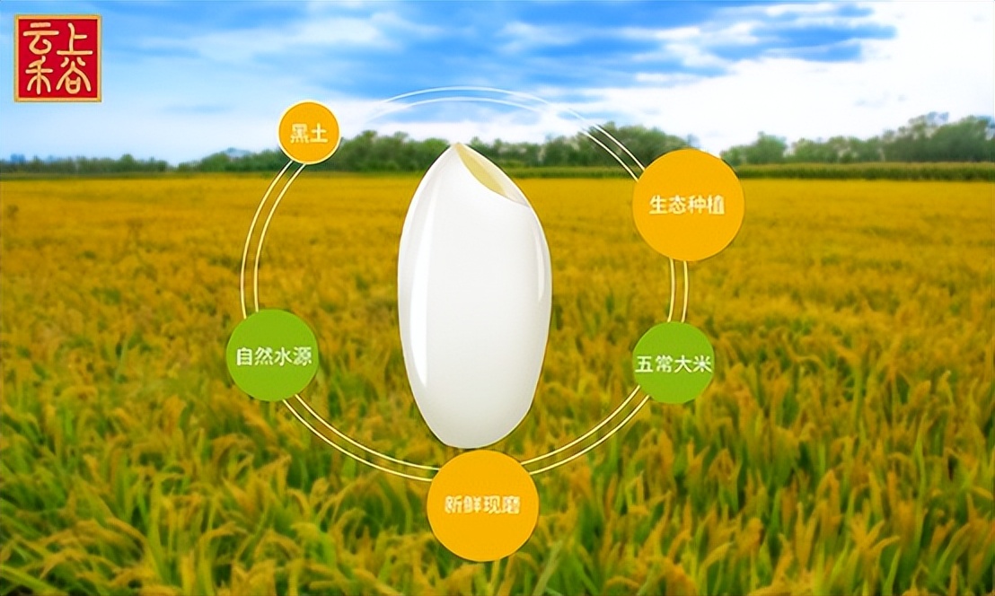 云上禾谷粮油店转让,开一家云上禾谷粮油店需多少钱