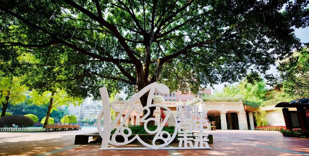 青羊区五朵金花,成都青羊区五朵金花