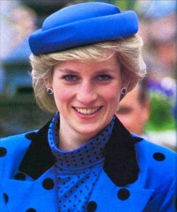 戴安娜穿紫色蕾丝裙,戴安娜经典穿搭礼服