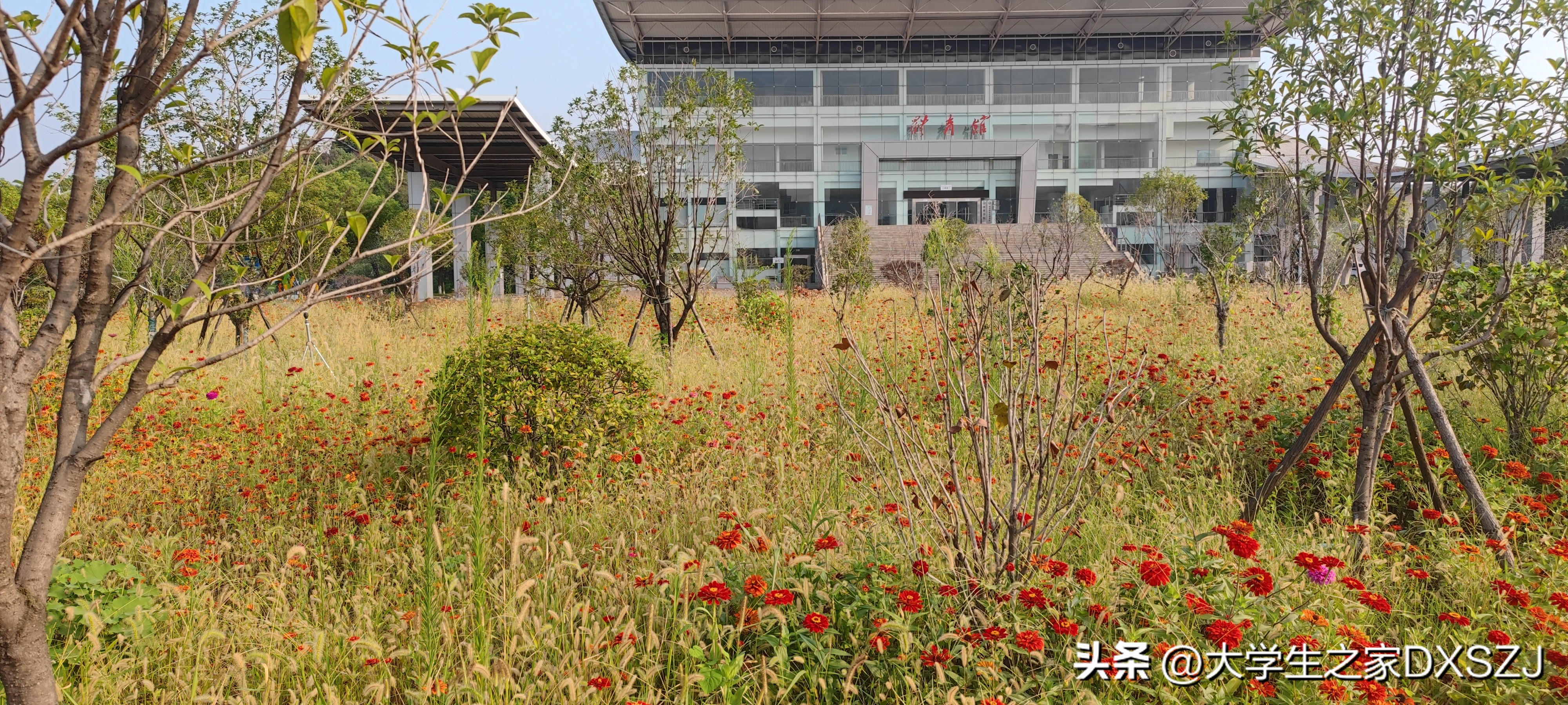 校园生活-长沙理工大学云塘校区图文实录