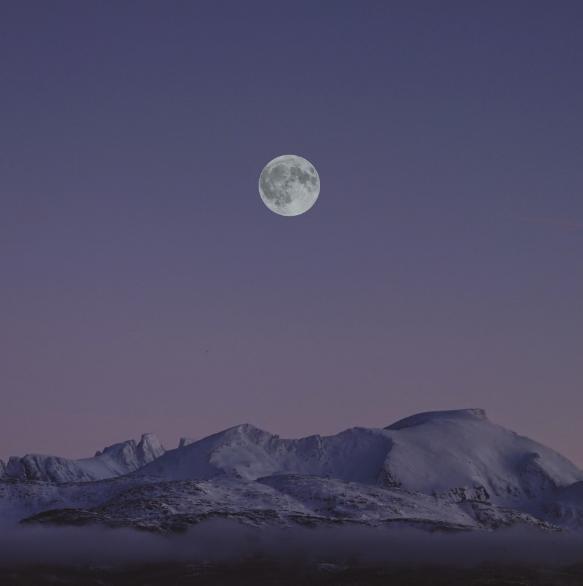 十五夜望月描写节日的诗句,关于月亮正月十五思乡的古诗