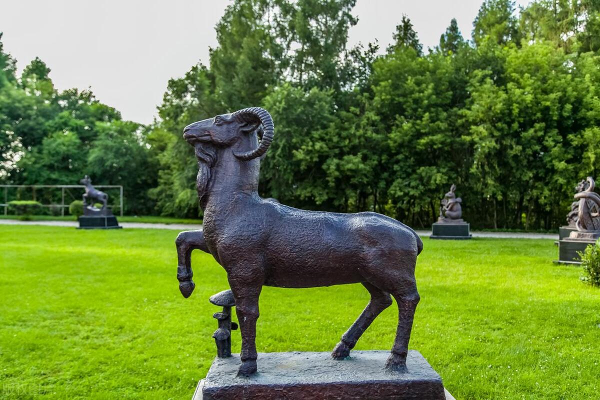 十二生肖秘密解析,十二生肖还有如此奥秘你知道吗