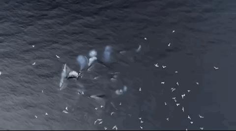 豆瓣排名第五摄人心魄的好片,豆瓣8.6分今年看过最良心的电影