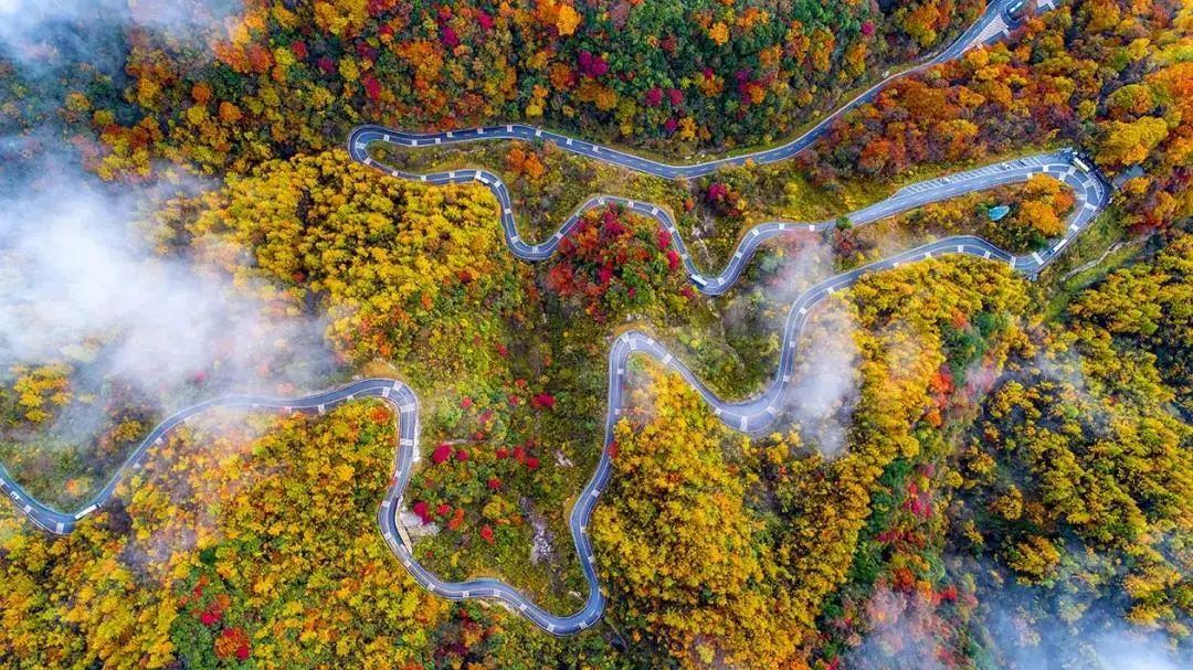 四川光雾山风景视频,光雾山旅游景区