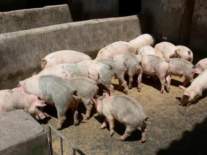 九台其塔木北山,九台其塔木镇景点