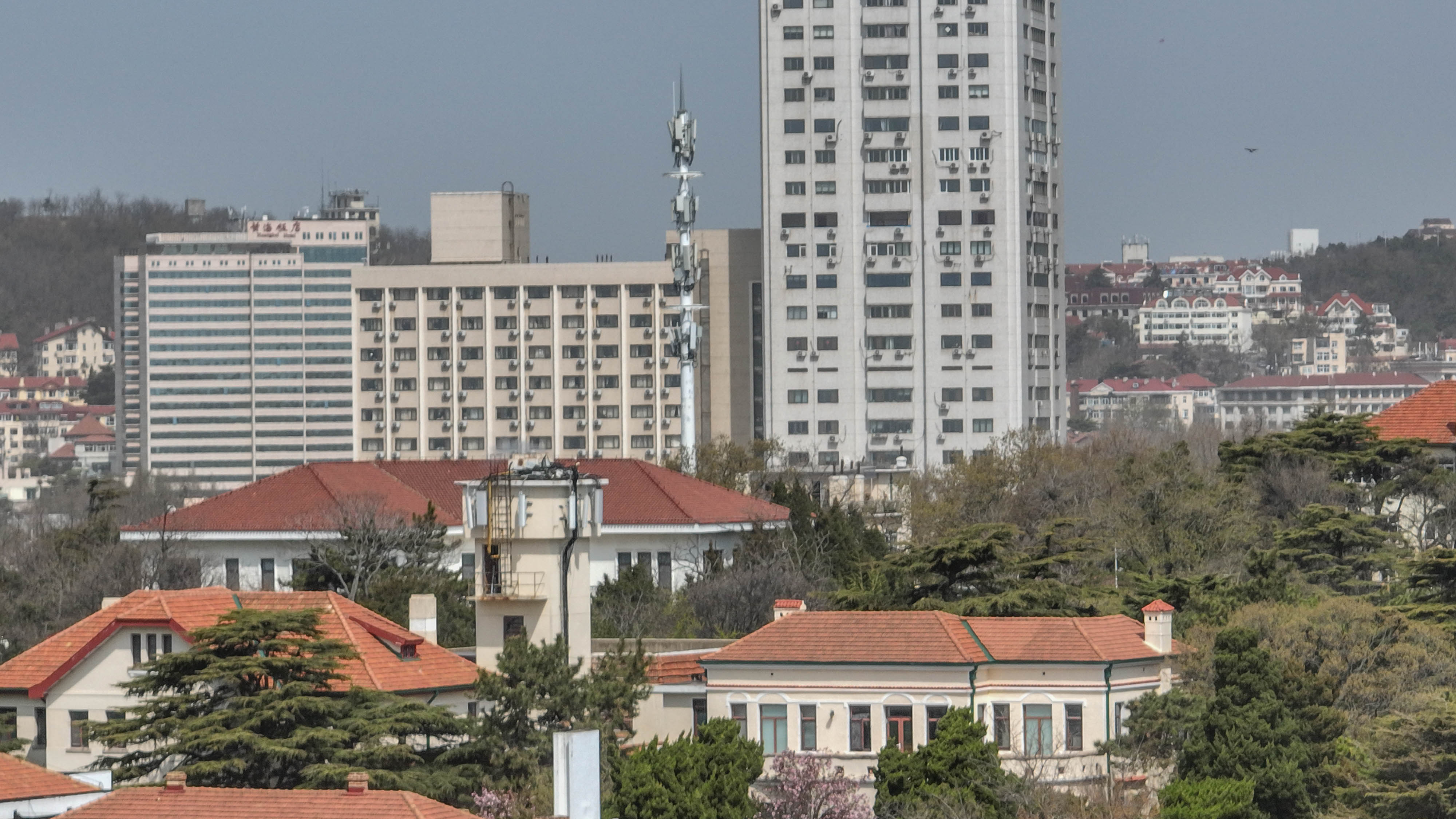 青岛最好的季节是几月,青岛旅游最佳季节时间表最新