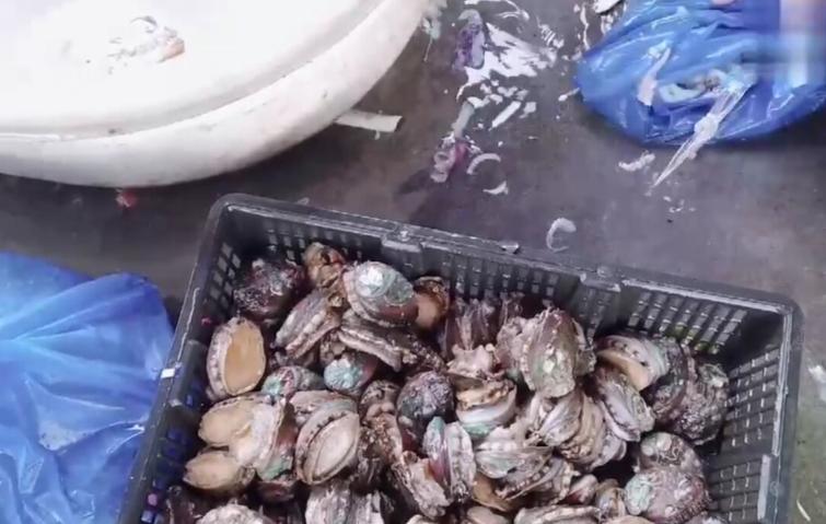 宁波男子随礼500元到农村喝喜酒，吃到帝王蟹，竟发圈吐槽吃不饱