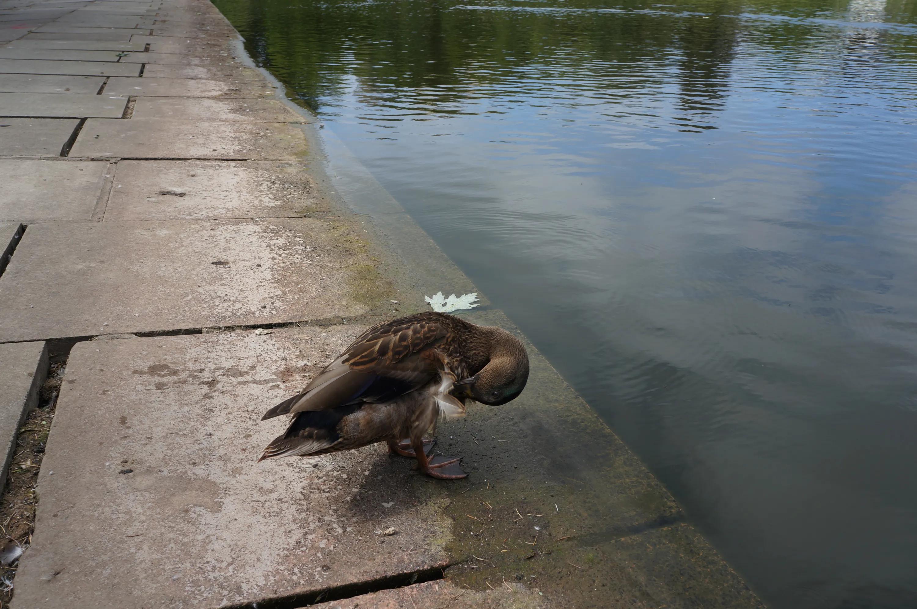 英国之旅完整版,英国巴斯旅游全攻略
