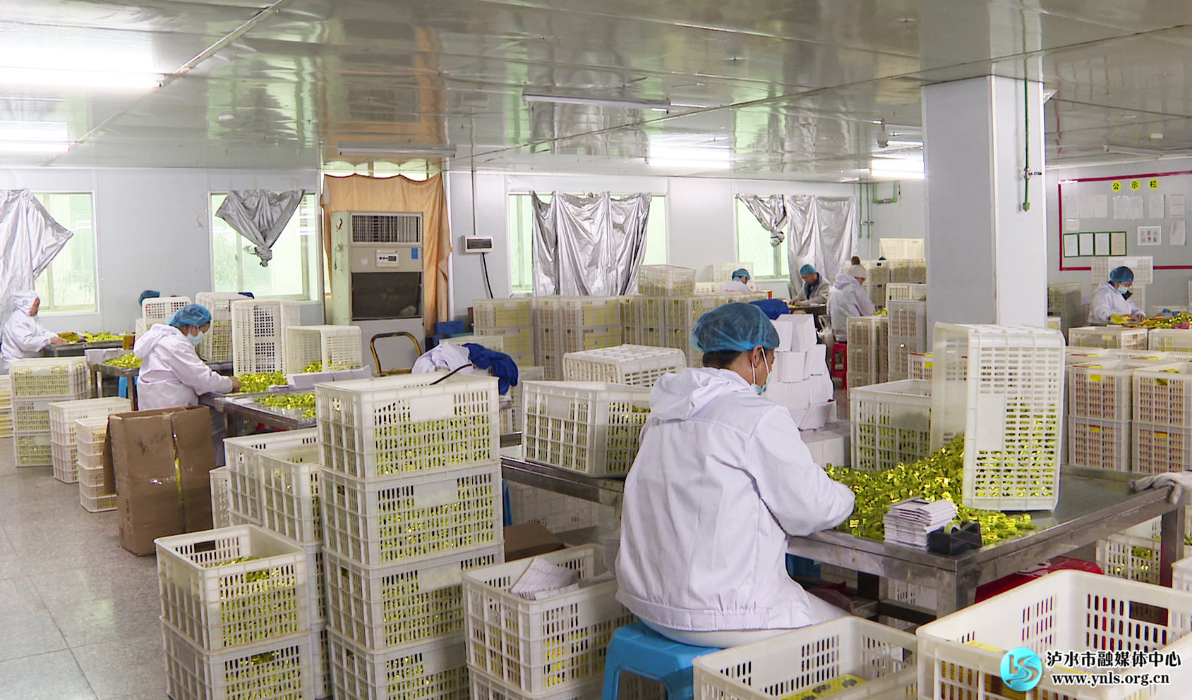 乘风逐梦记|义乌务工“夫妻档”