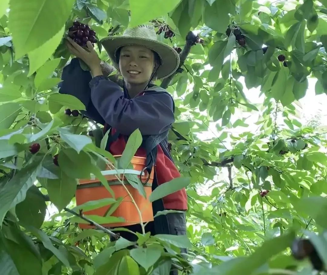00后中国女孩在外国跳舞,中国美女在新西兰跳舞