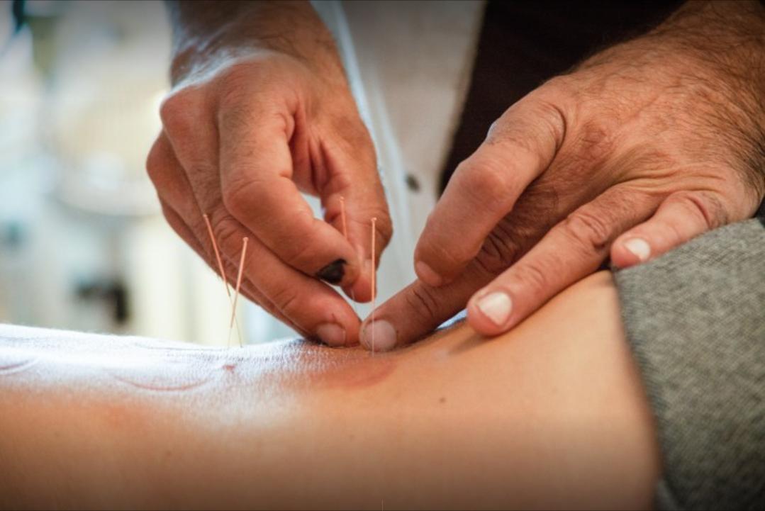 法国的国宝级老中医,中医药治老狗