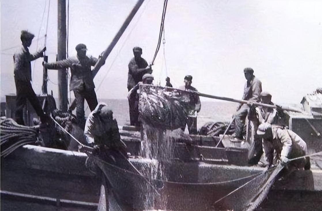 湟鱼洄游过程,湟鱼洄游障碍