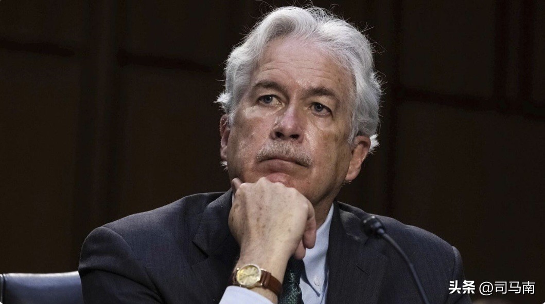 司马南蚁力神事件真相,司马南遭攻击