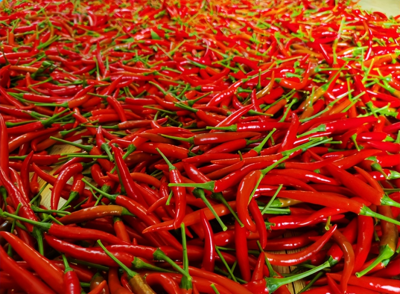 肇庆土特产农产品,肇庆最好的农业产业