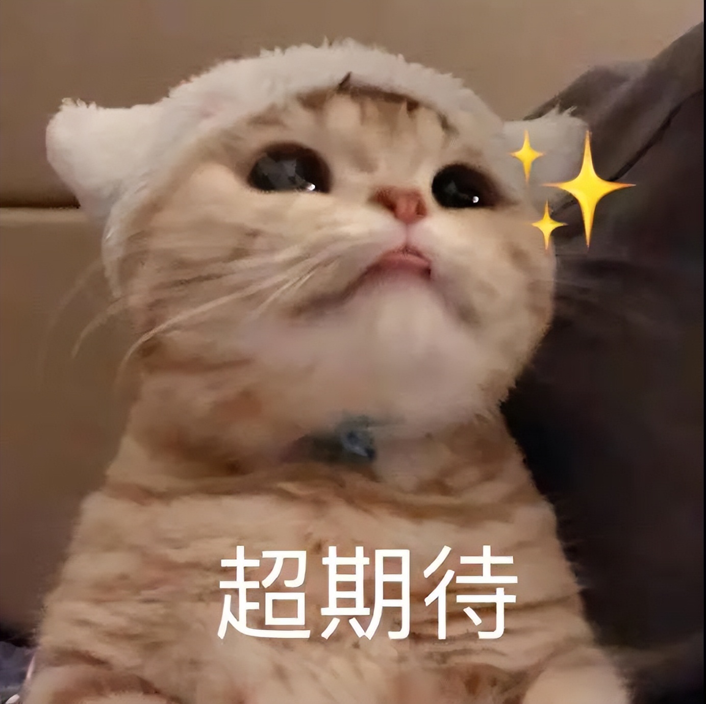 正确洗脸和清洁皮肤的方法,皮肤清洁入门